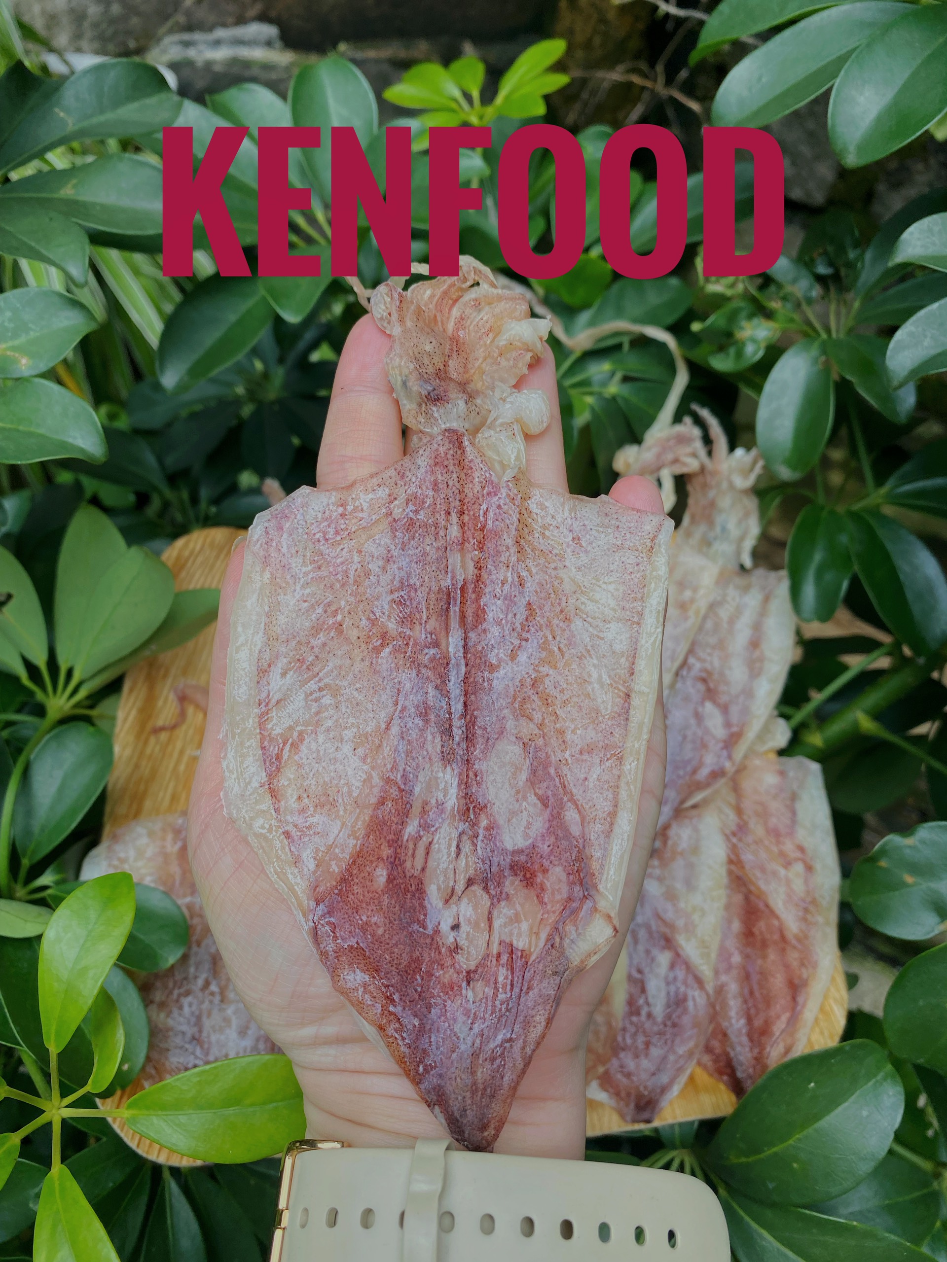 giá khô mực 50 con giá khô mực 50 con