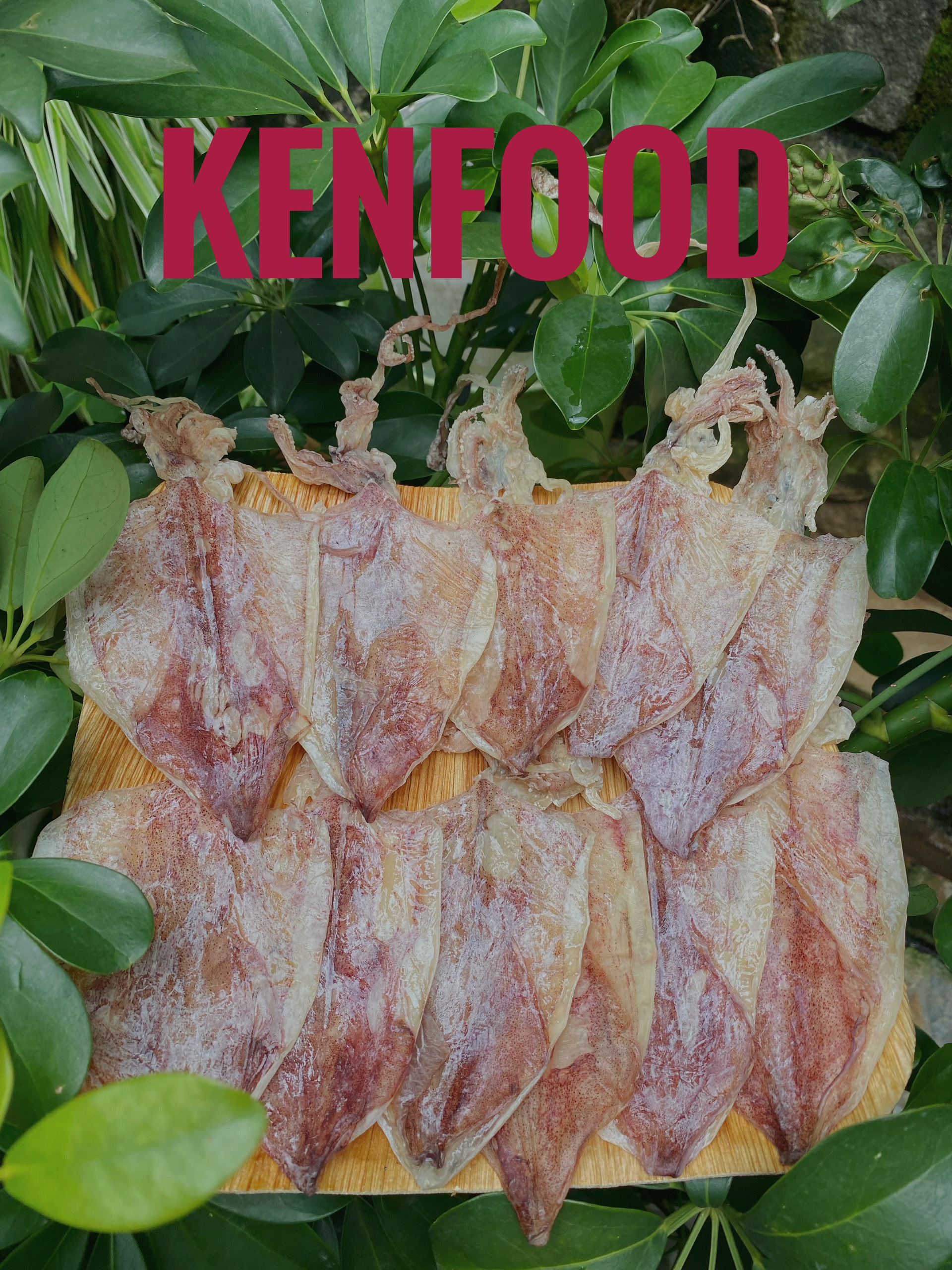 khô mực 50 con khô mực 50 con