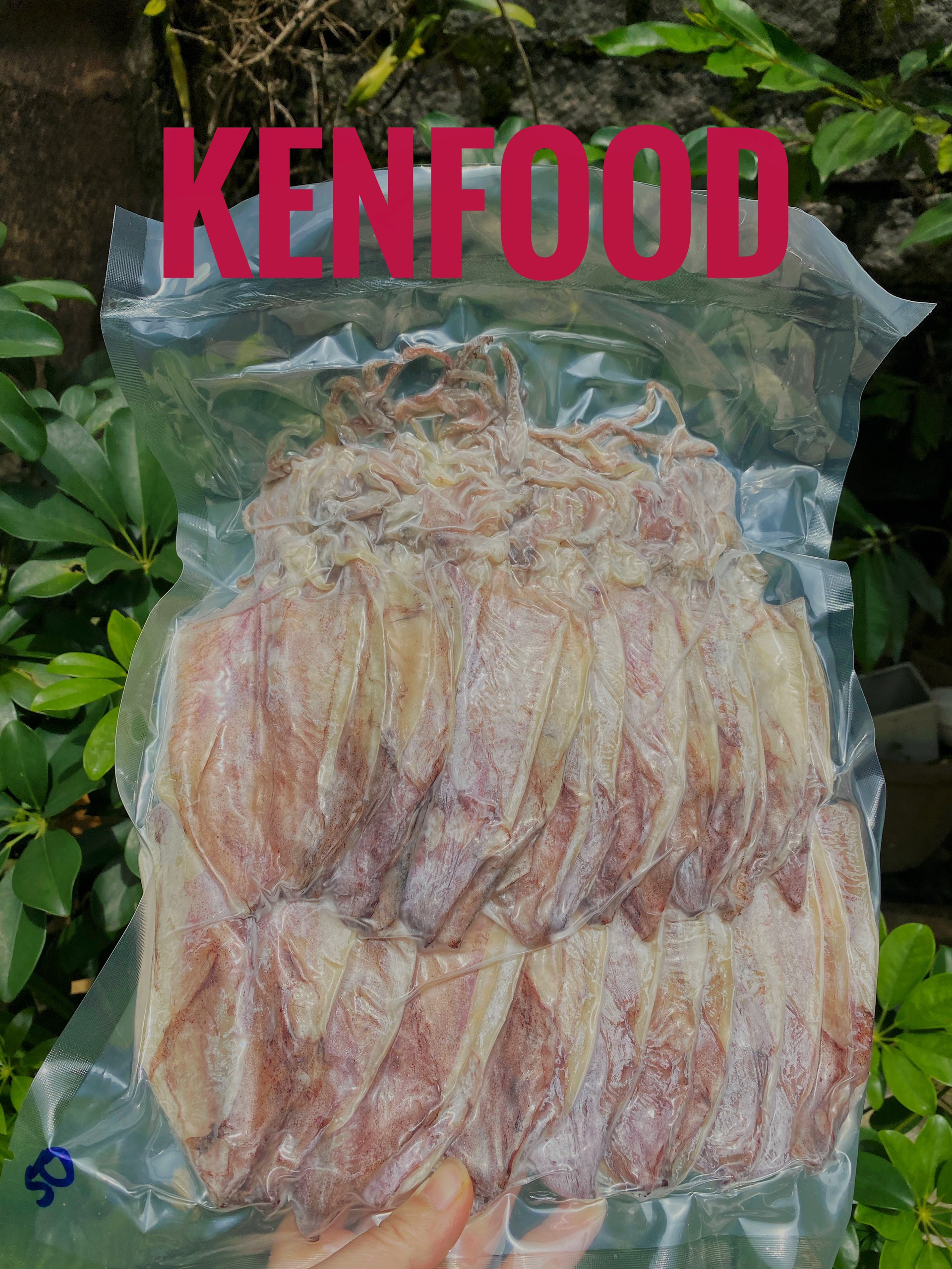 khô mực 50 khô mực 50
